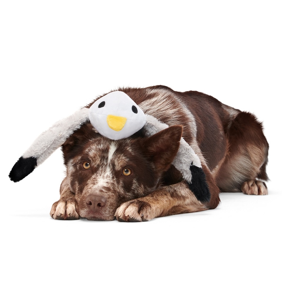 image 1 of BARK Sully The Gully Dog Toy