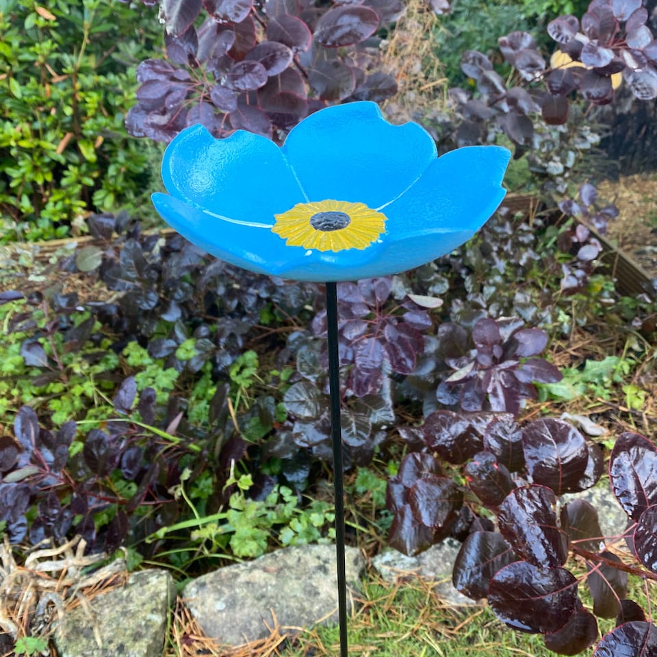 image 1 of Cast Iron Wild Bird Forget Me Not Flower Dish Bird Feeders (Set of 2)