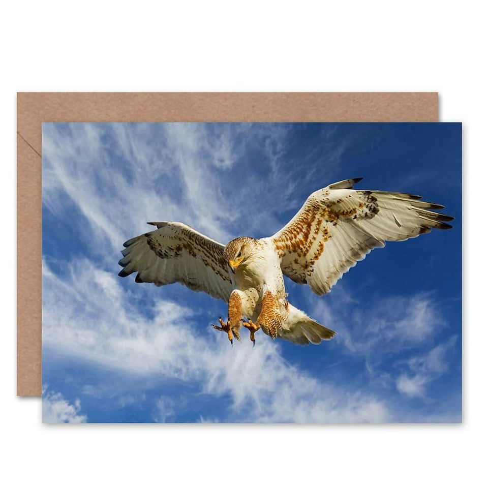 image 1 of Majestic Eagle Bird Hunting Dive Scene Animal Lover Birthday Card