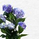 image 2 of Artificial Large Hydrangea Plant Flowering Bush Blue Botanik