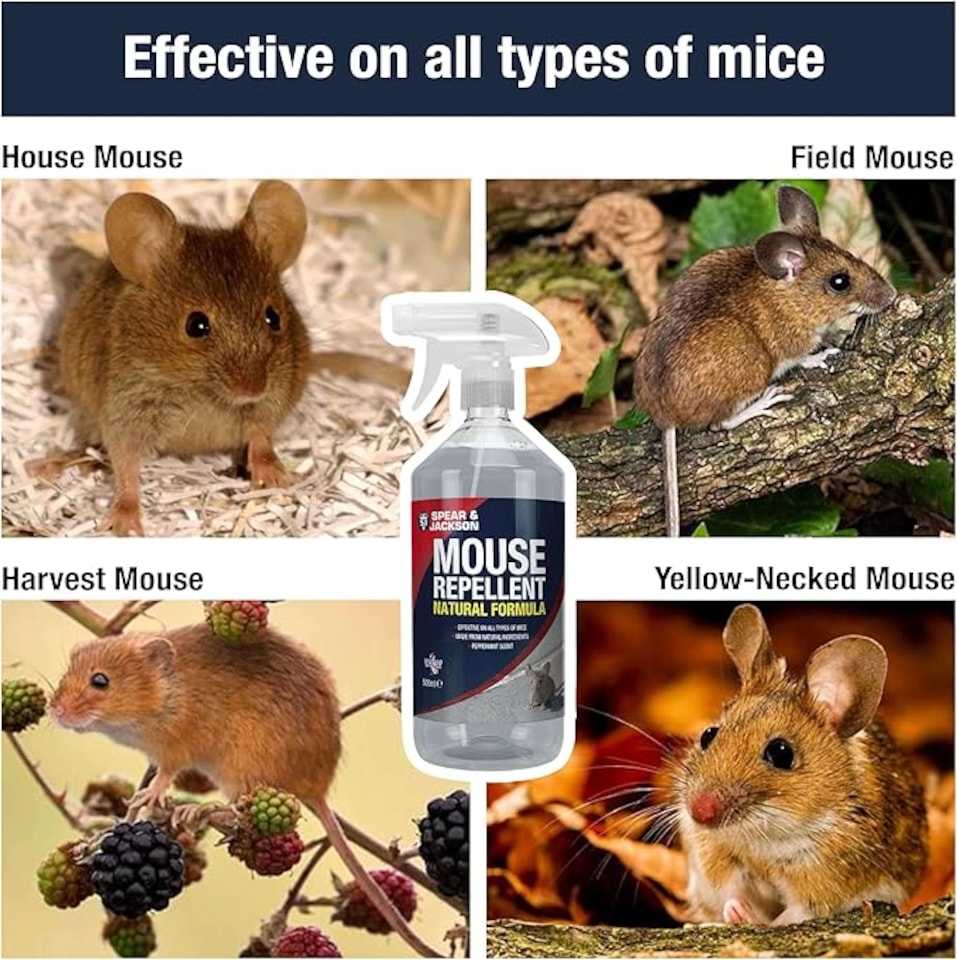 image 1 of Spear & Jackson Mouse Repellent - Peppermint Scent 2.5L + LHT