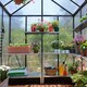 image 3 of Greenhouse Glory 6 x 8 - Polycarbonate - L244.5 x W195.5 x H251 cm - Grey