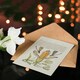 image 4 of Model Book of Calligraphy Art Card Damselflies on Spanish Iris