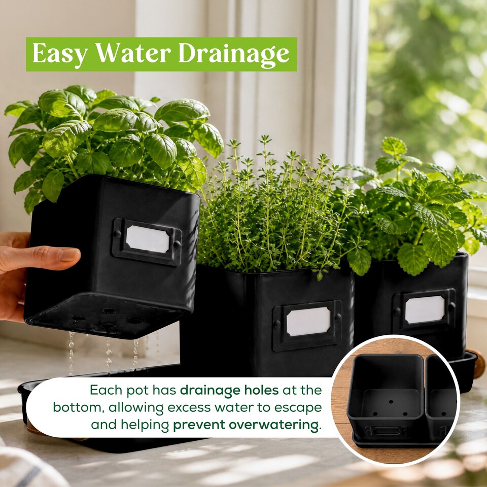 image 1 of Set of 6 Black Indoor Herb Pots with Tray
