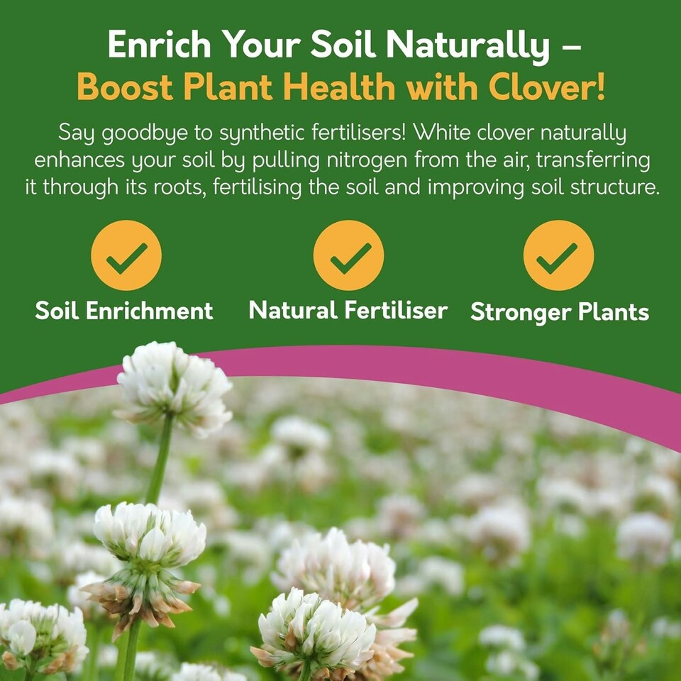 image 1 of Pronto Seed Clover Seed for Lawn UK - White Clover 500g - 50m2 Coverage