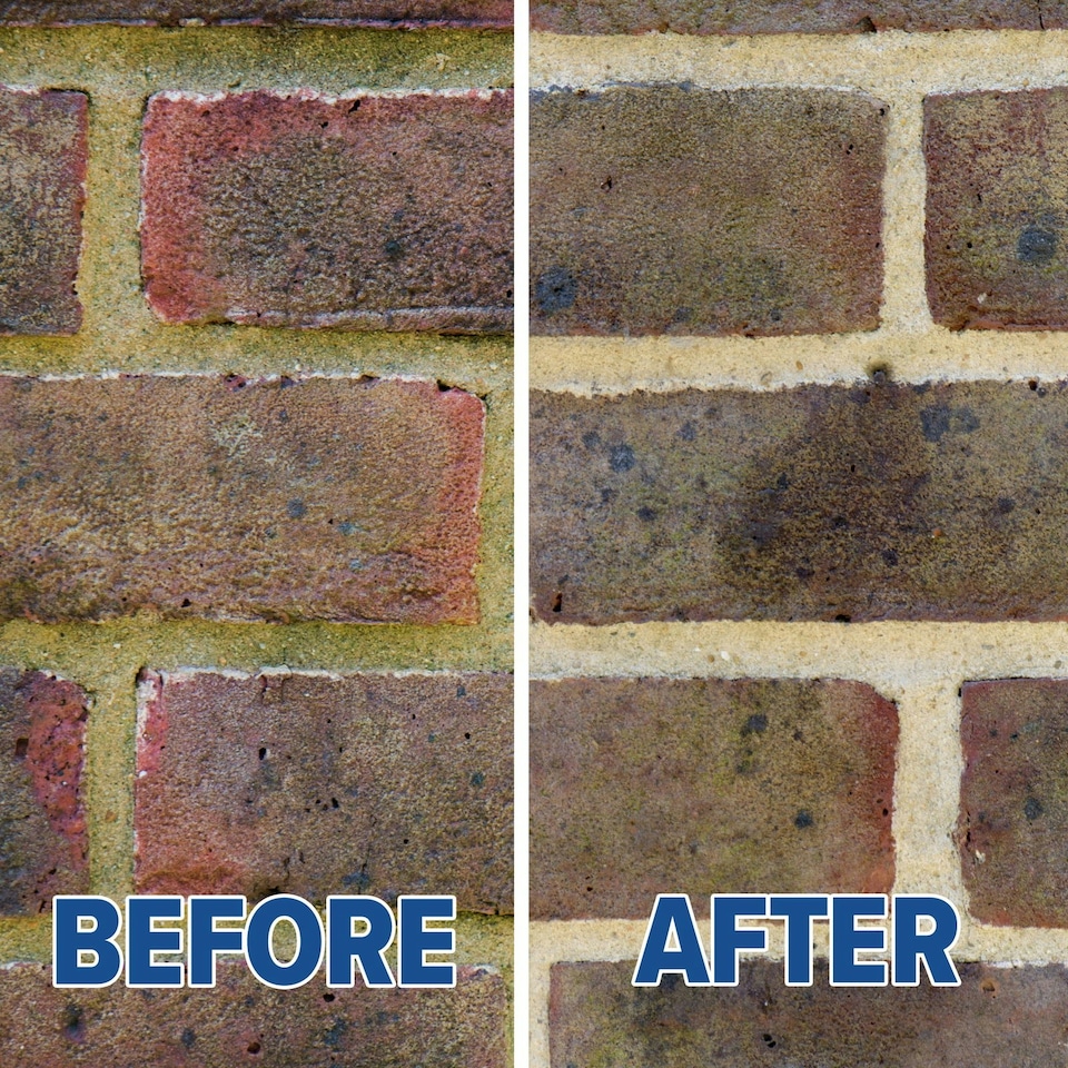 image 1 of Soluguard Multi Surface Biocide (1 x 5L & Sprayer) against Fungi, Mould and Algae