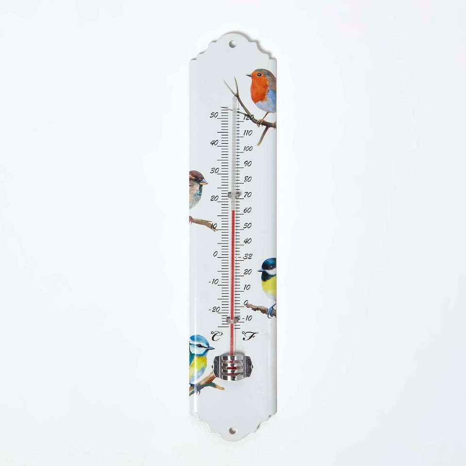 image 1 of Homescapes Outdoor Thermometer with Bird Design