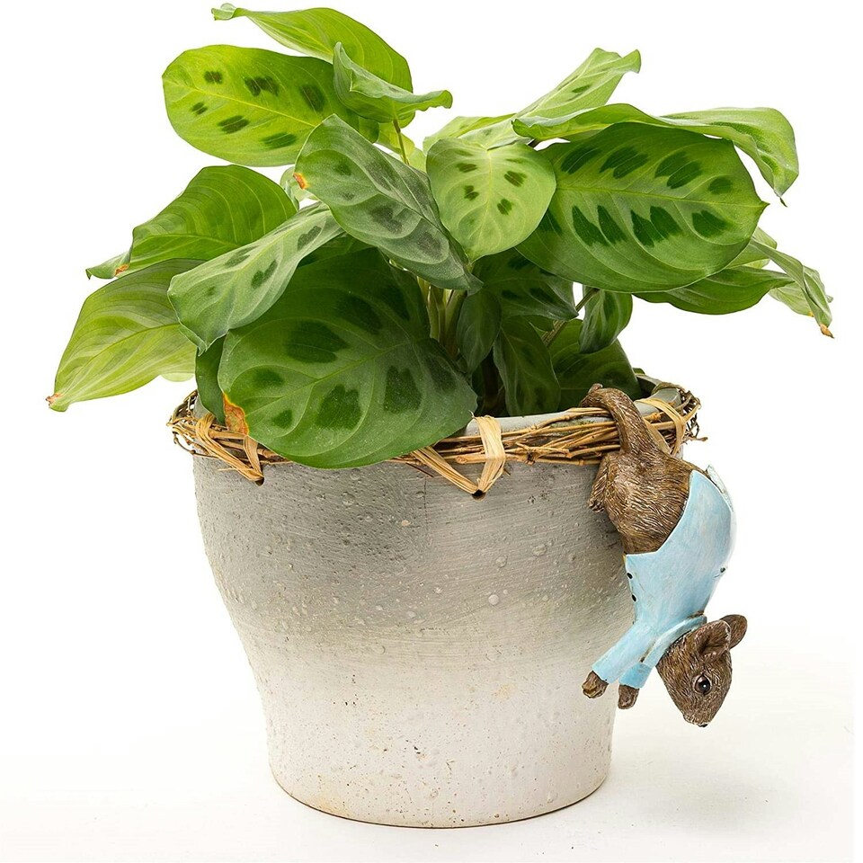 image 1 of Pot Buddies Garden Pot Décor Johnny Town Mouse