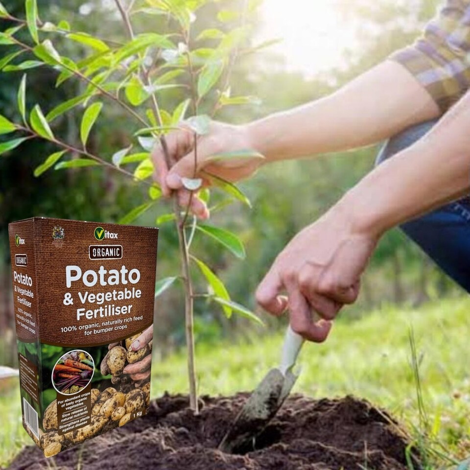 image 1 of Vitax Organic Potato Fertiliser 1Kg Slow Release Plant Food for Strong Growth and High Yield Potatoes and Vegetables