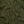 Khaki Green