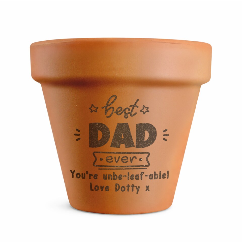 image 1 of Personalised Best Ever Terracotta Plant Pot