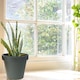 image 2 of 30cm Round Plastic Flower Pot | Green | 1
