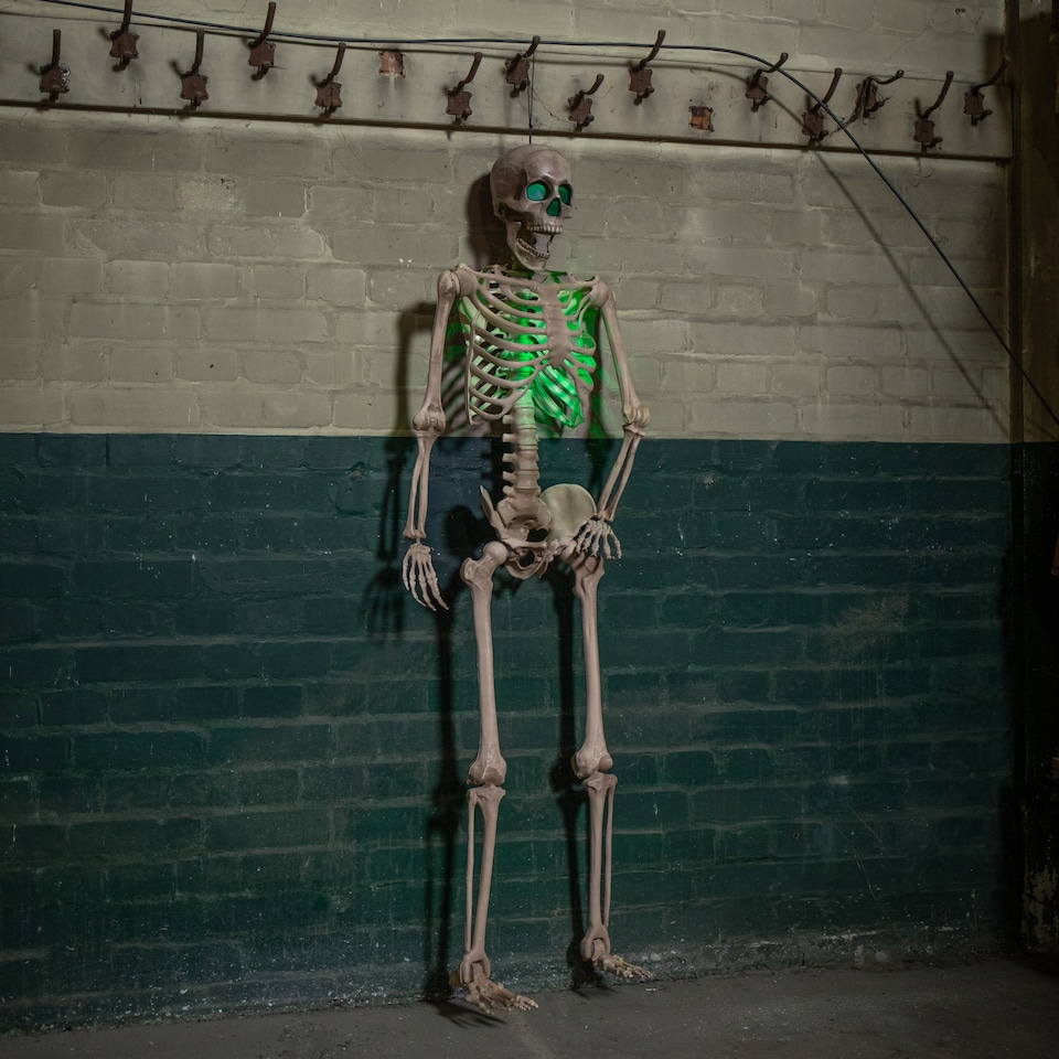 image 1 of 5ft (152cm) Battery Powered Light up Halloween Skeleton with Poseable Joints & Green LEDs