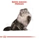 image 5 of Royal Canin Cat Persian Adult 10KG