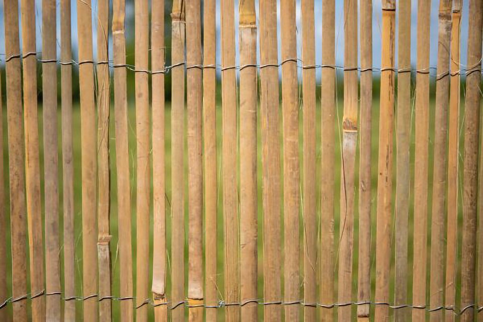 image 1 of Primrose Bamboo Slat Natural Garden Fence Screening Roll Privacy W4m x H2m | Brown | Brown