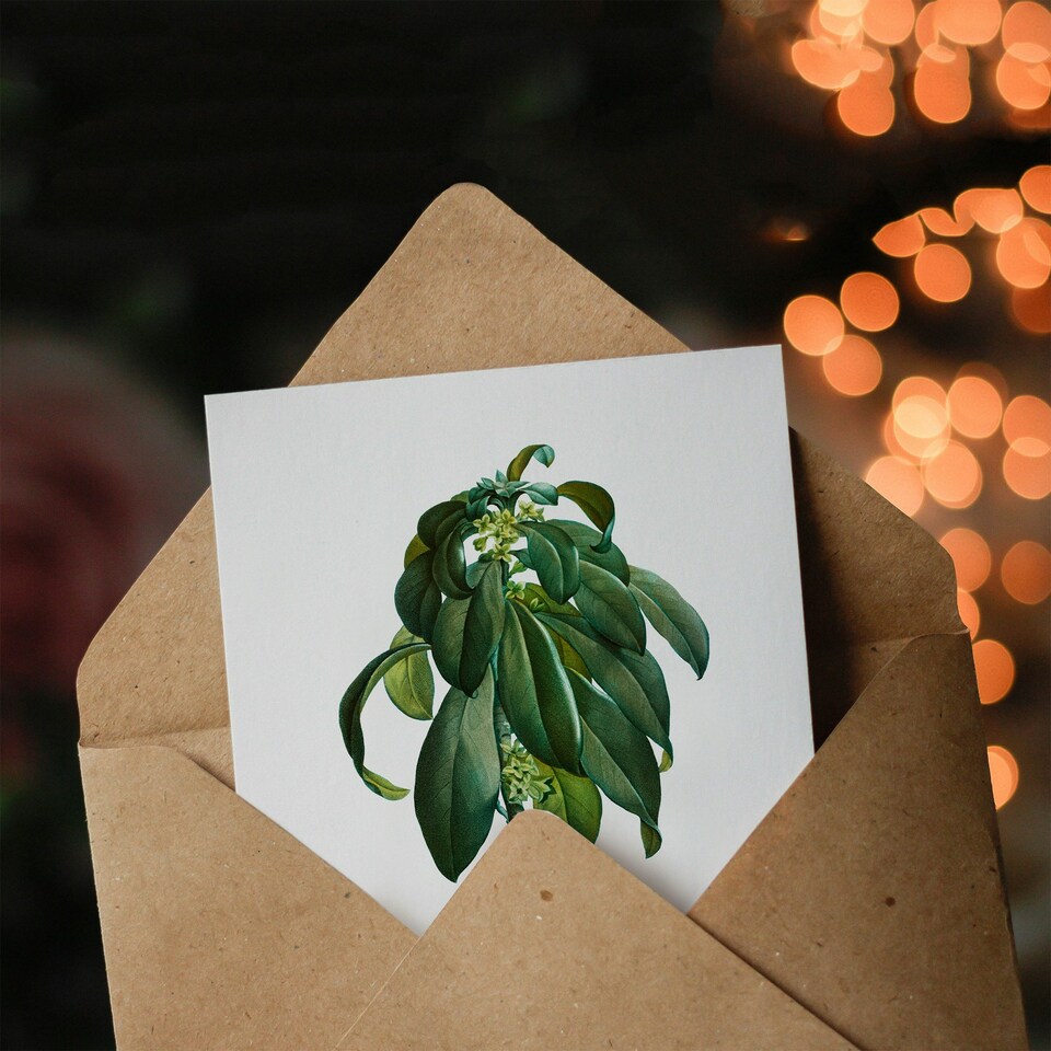 image 1 of Pierre-Joseph Redouté Art Card Spurge Laurel Vintage Botanical