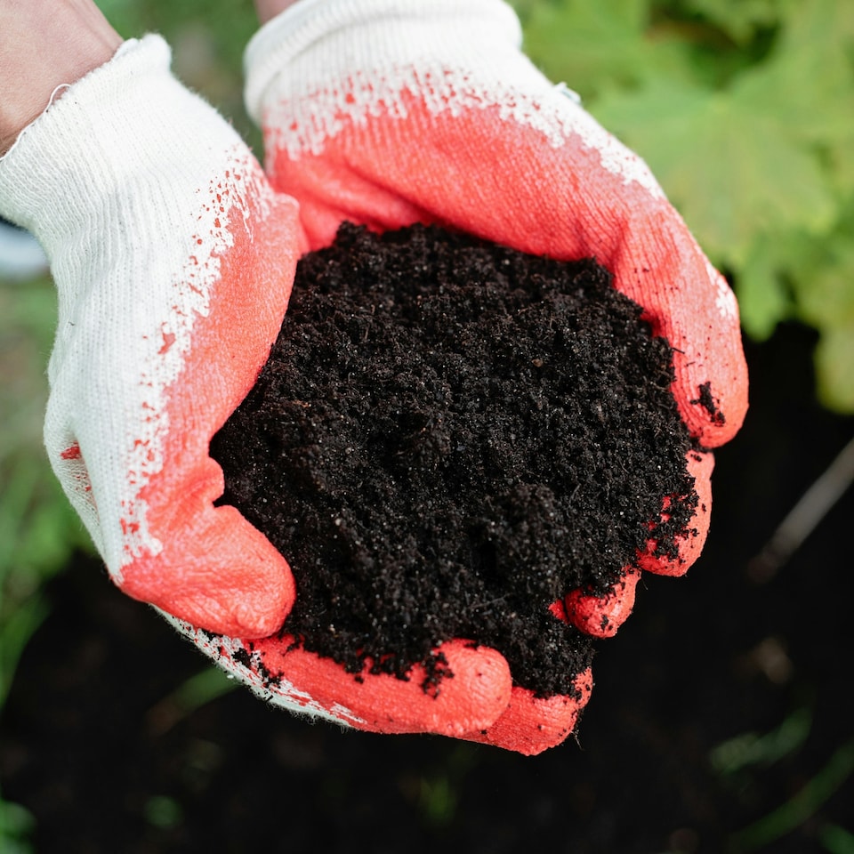 image 1 of Multi Purpose Compost with 9 Month Feed - 65L - Water Less Formula For Pots, Borders, Bedding Plants & Vegetables