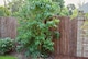 image 2 of Primrose Natural Bark Screening Garden Fence Privacy Roll Sun Protection 4m x 1m | Brown | Brown