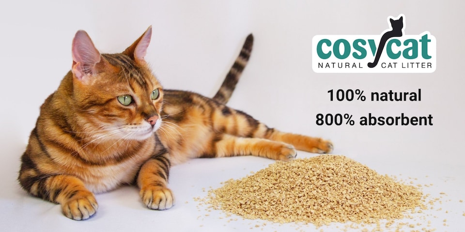 image 1 of Cosycat Clumping Wood Cat Litter 10L Coarse Granule