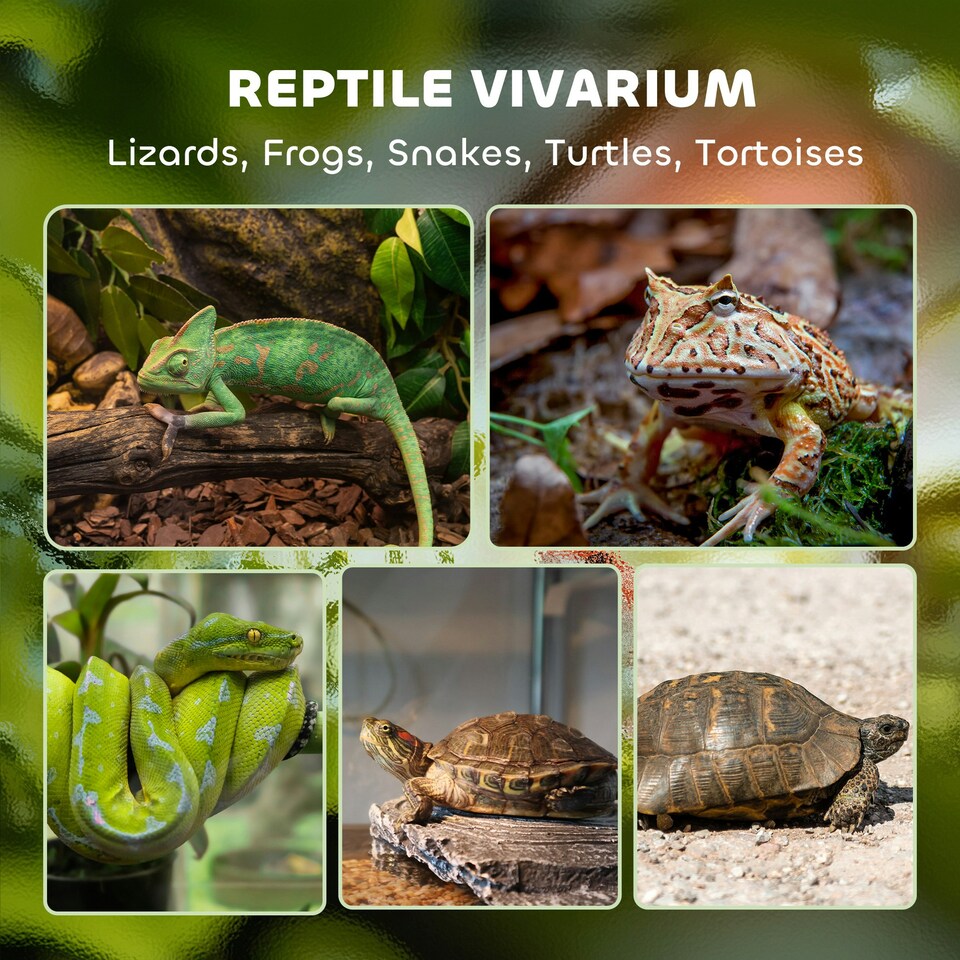 image 1 of PawHut 48L Glass Terrarium, Reptile Vivarium with Stone Background, Black