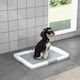 image 2 of PawHut Dog Toilet Tray, Dog Litter Tray for Training Dogs, 63 x 49 x 6cm