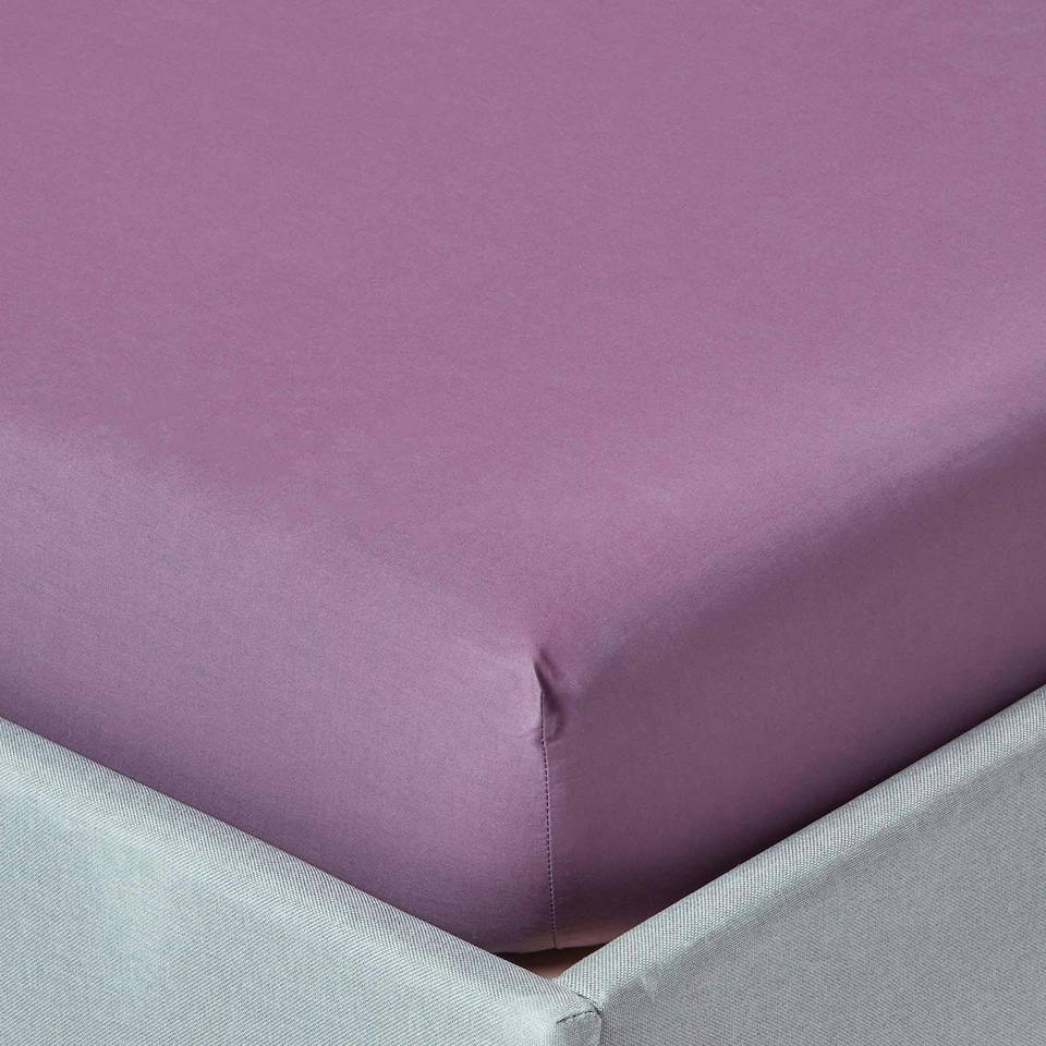 image 1 of Homescapes Grape Egyptian Cotton Fitted Sheet 200 TC, King | Purple | King