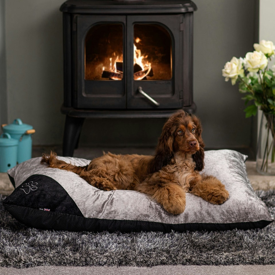 image 1 of Crushed Velvet Cushion Dog Bed - Bunty Bellagio Silver | L