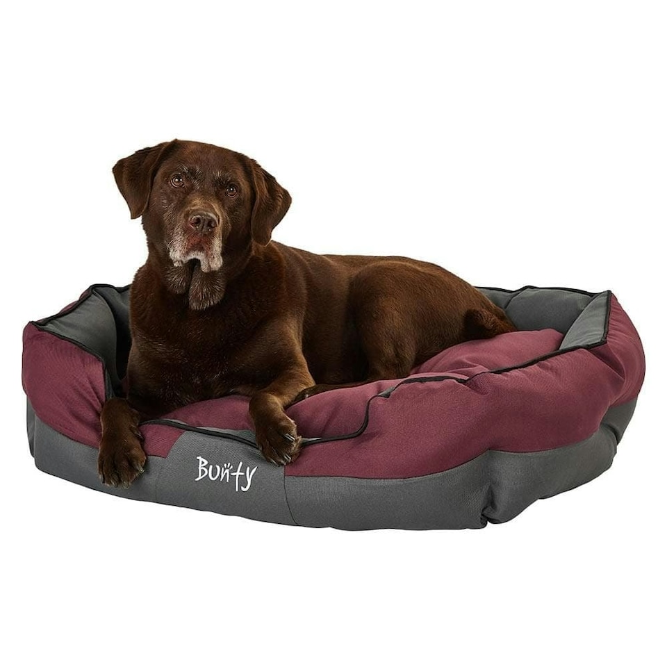 image 1 of Water resistant Dog Bed, water resistant, washable, small to large sizes - Bunty Anchor Red | XL