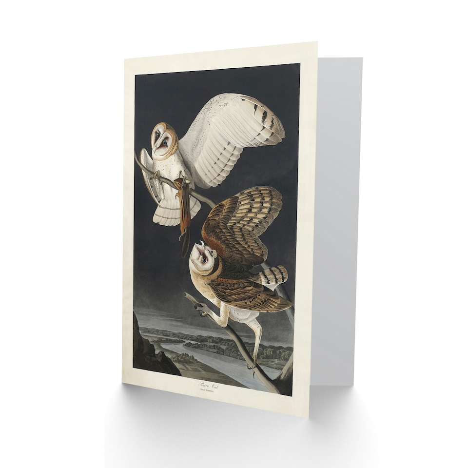 image 1 of John James Audubon Art Card Birds of America Barn Owl