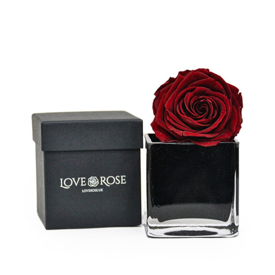 Infinity Red Rose Head in Black Vase and Gift Box