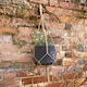 image 3 of Primrose Round Cement Wall or Ceiling Hanging Plant Pot in Brown 17cm