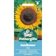 image 1 of Fothergills Premium Sunflower Seeds - Taiyo