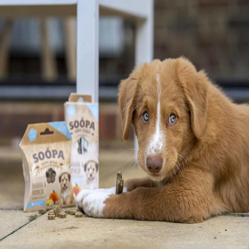 image 1 of Soopa Pack Puppy Bites - Healthy Vegan for Dogs, white