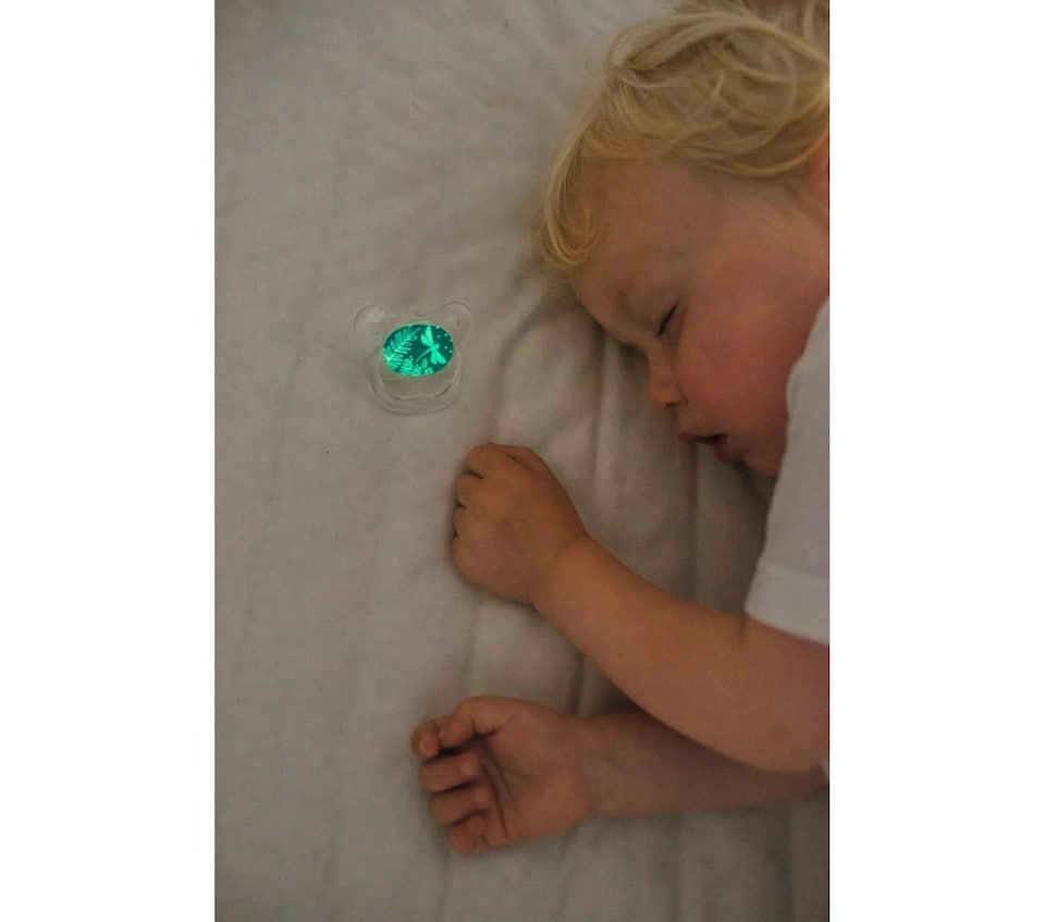 image 1 of Dr Browns Prevent Soothers Glow Dark Orthodontic Dummy Swan Dragonfly 0-6M