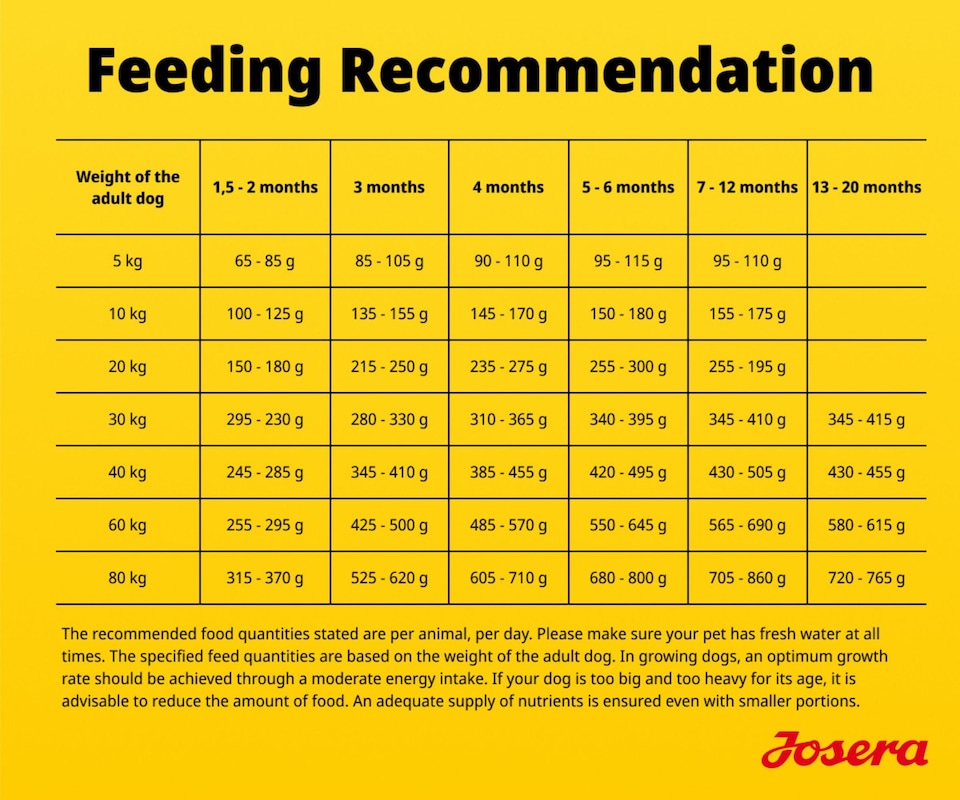 image 1 of Josera High Protein Junior Sea Fish complete dry food | For active puppies & young dogs | All breeds | Grain-free | Lots of Salmon & Lamb | 3x3kg
