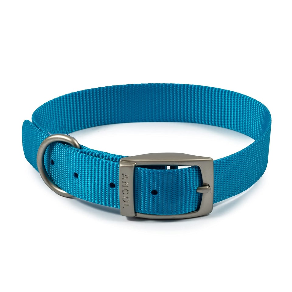 Ancol Viva Nylon Buckle Collar 28-36cm Size 3 Blue N/A | One Size