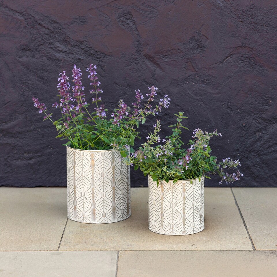 image 1 of Primrose Set of 2 Metal Leaf Design Cylinder Decorative Planters in Cream 24cm | Cream | Off White