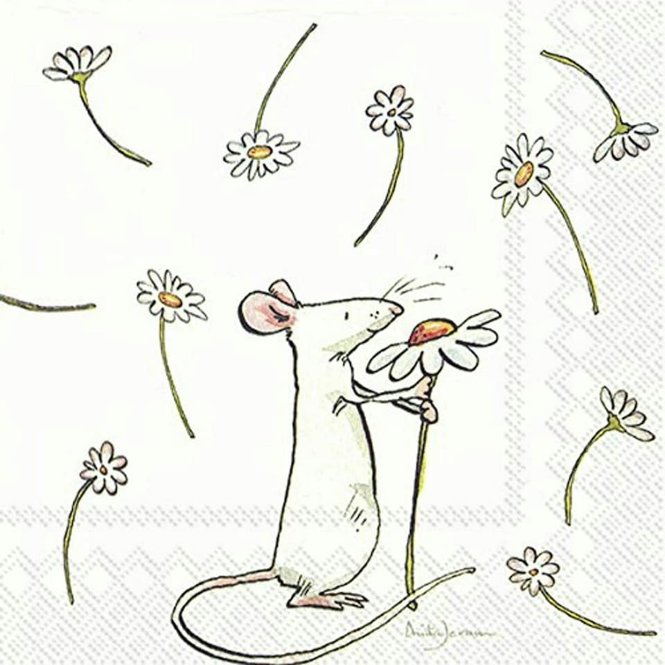 IHR A Daisy For You Cocktail Napkins 25cm 3ply 20 Pack