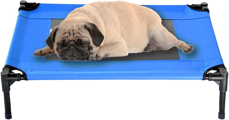 image 1 of Actiaspet Elevated Dog Bed Oxford Mesh Pet Cot Indoor or Outdoor (Blue, Medium)
