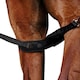 image 2 of Weatherbeeta Padded Leg Straps - May Vary - One Size