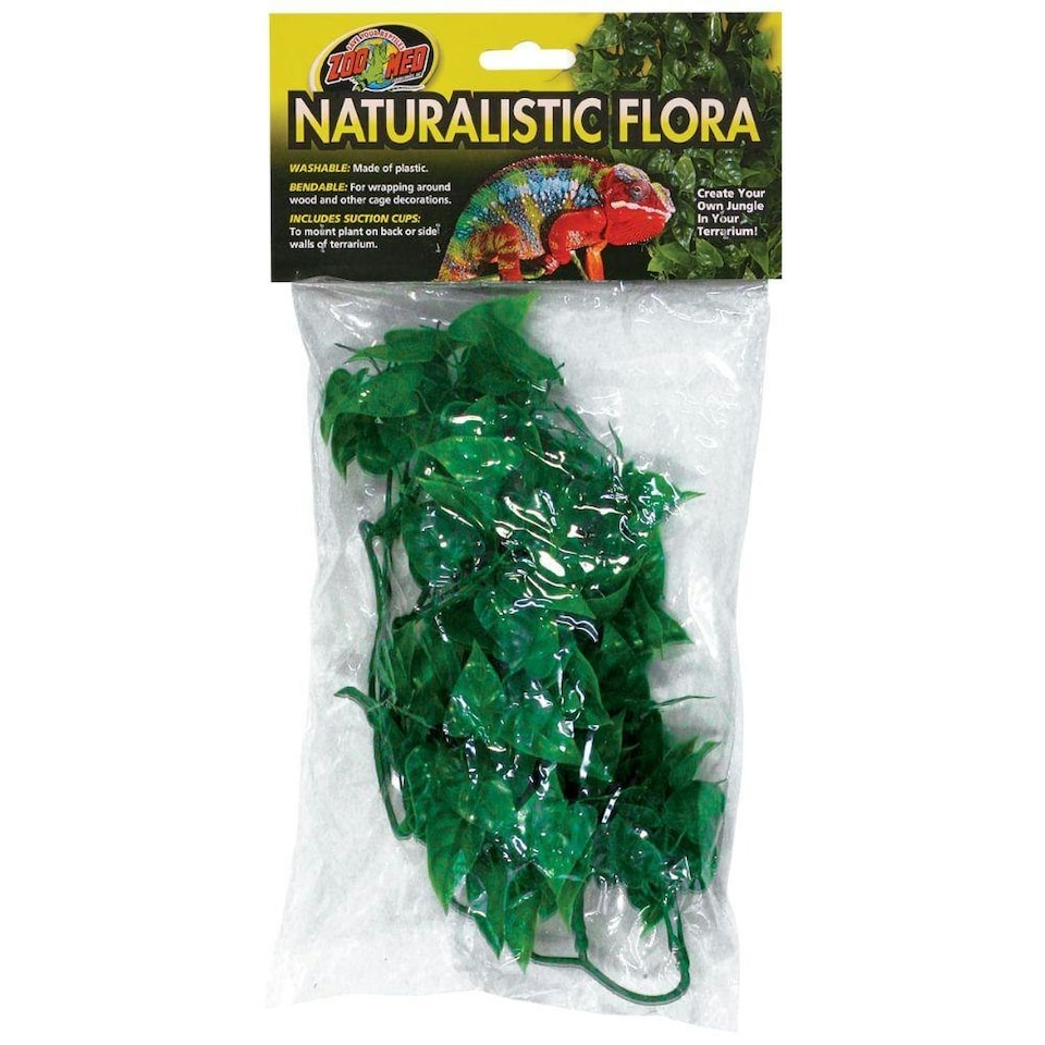 Zoo Med Natural Bush Mexican Phyllo Reptile Terrarium Plant - Small