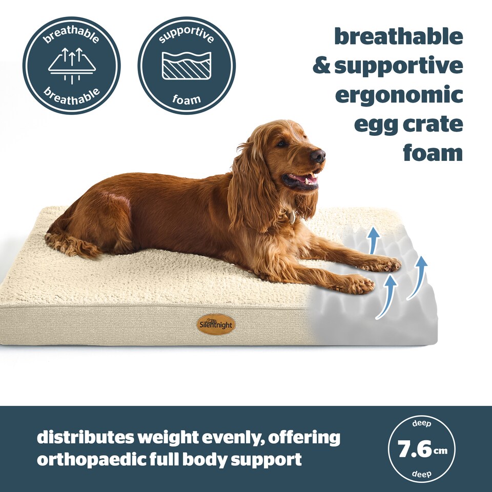 image 1 of Silentnight Firm Support Crate Mattress Pet Bed