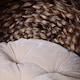 image 9 of PawHut Wicker Cat House, Raised Cat Bed with Cushion, 42 x 33 x 52cm, Dark Brown