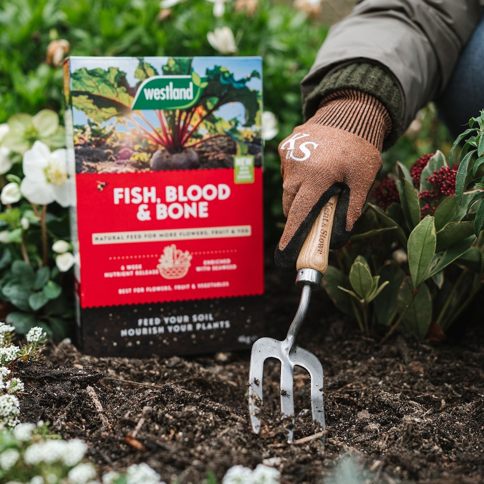 image 1 of Westland Fish, Blood & Bone All-Purpose Plant Food NPK 3-9-3 4kg
