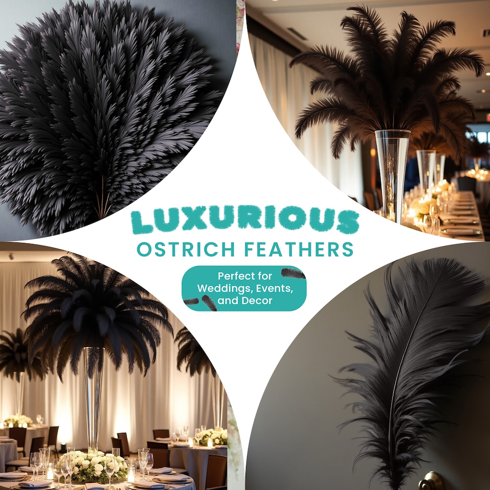 image 1 of 50cm - 60cm Large Ostrich Feathers, Showgirl Spadones - 5pcs