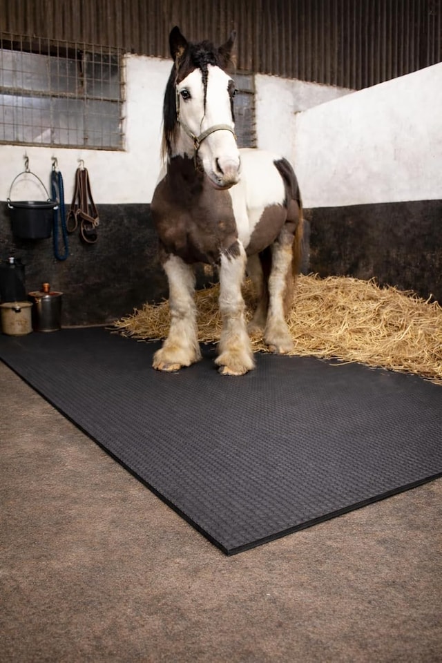 image 1 of Actiasmat EVA Horse Stable Mat – 6ft x 4ft (1.82m x 1.22m), 34mm Thick, Straight Edge Design
