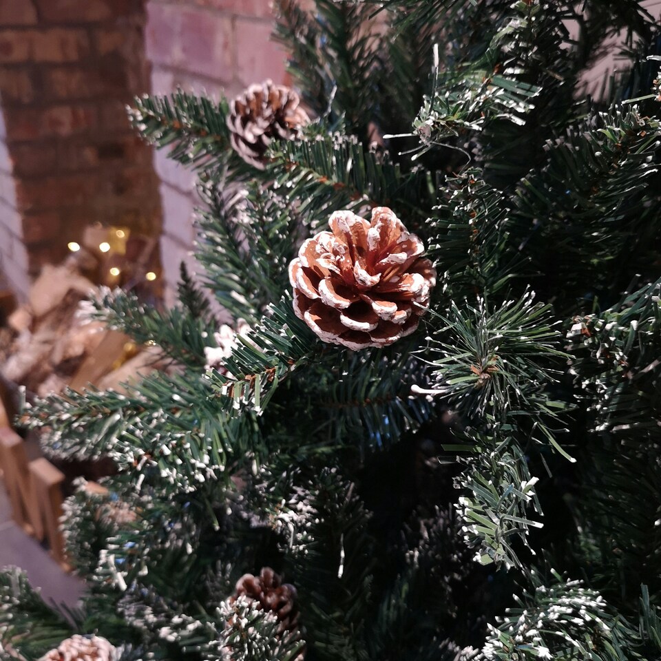image 1 of 6ft (180cm) Rocky Mountain Pine Green Artificial Christmas Tree Snow Tip and Pine Cones