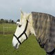 image 5 of Rhinegold Field Safe Headcollar Green | Size: X-Full
Colour: Turquoise