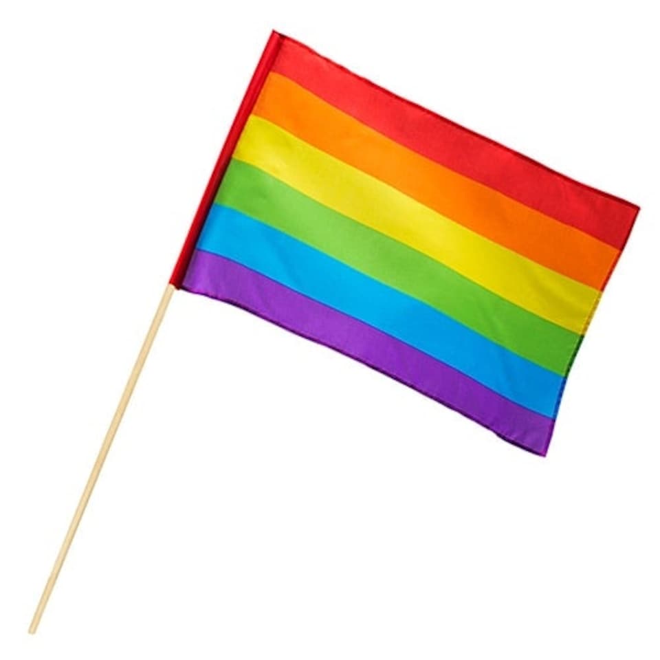 LGBT+ Pride Rainbow Hand-Held Waving Flag 45cm