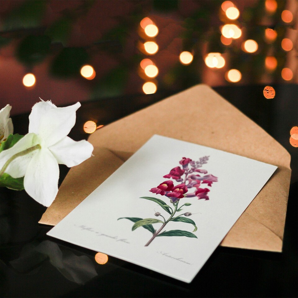 image 1 of Pierre-Joseph Redouté Art Card Antirrhinum Dragon Flowers